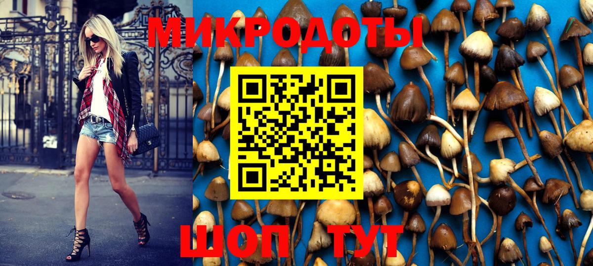 Галлюциногенные грибы Psilocybine cubensis  Псилоцибиновые грибы мицелий  Вход с VPN  Павлово 