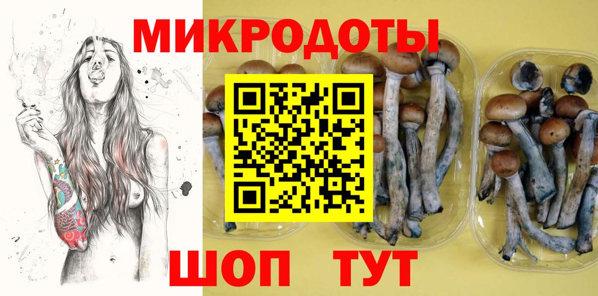 Псилоцибиновые грибы MAGIC MUSHROOMS Павлово